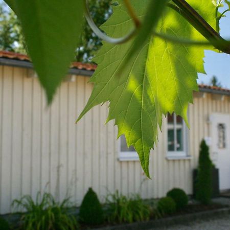 Gaestehaus Gaumenflug Am See Gunzburg Bagian luar foto